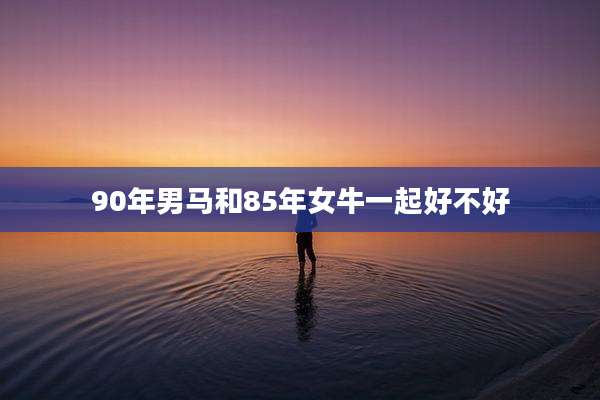 90年男马和85年女牛一起好不好