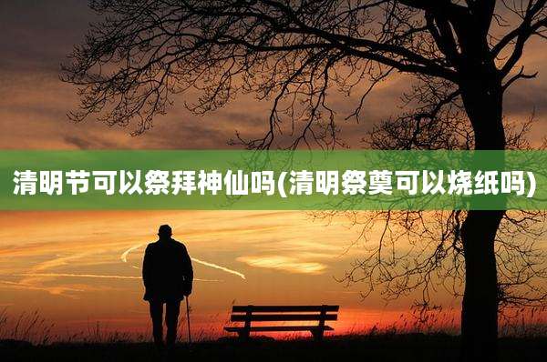清明节可以祭拜神仙吗(清明祭奠可以烧纸吗)