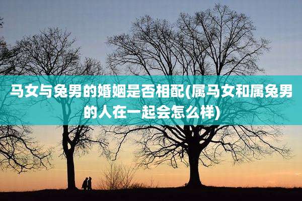马女与兔男的婚姻是否相配(属马女和属兔男的人在一起会怎么样)