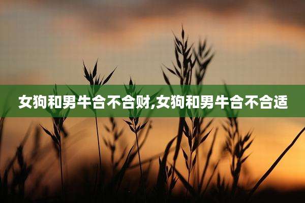 女狗和男牛合不合财,女狗和男牛合不合适