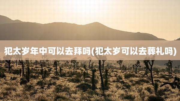 犯太岁年中可以去拜吗(犯太岁可以去葬礼吗)