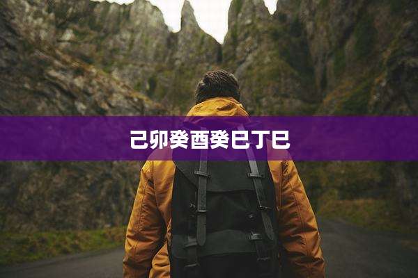 己卯癸酉癸巳丁巳