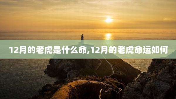 12月的老虎是什么命,12月的老虎命运如何
