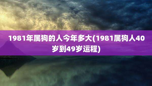 1981年属狗的人今年多大(1981属狗人40岁到49岁运程)