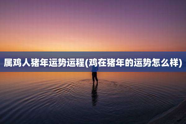 属鸡人猪年运势运程(鸡在猪年的运势怎么样)