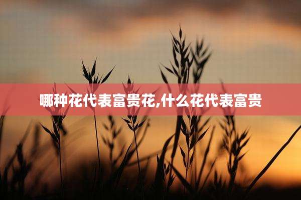哪种花代表富贵花,什么花代表富贵