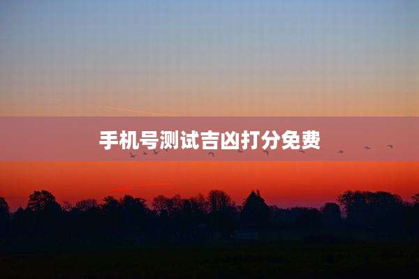 手机号测试吉凶打分免费