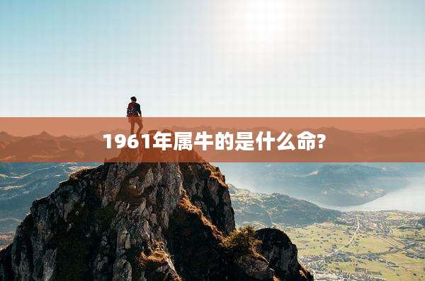 1961年属牛的是什么命?