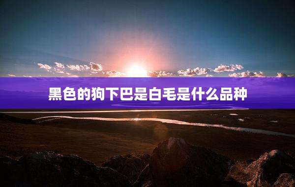 黑色的狗下巴是白毛是什么品种