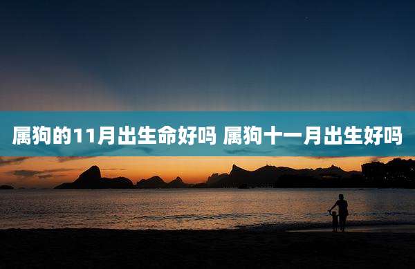 属狗的11月出生命好吗 属狗十一月出生好吗