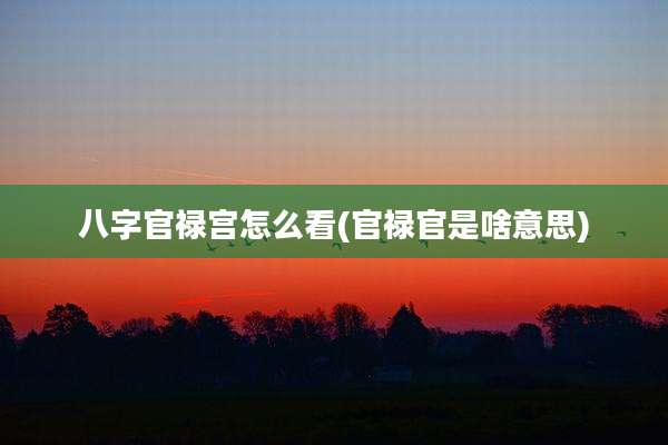 八字官禄宫怎么看(官禄官是啥意思)