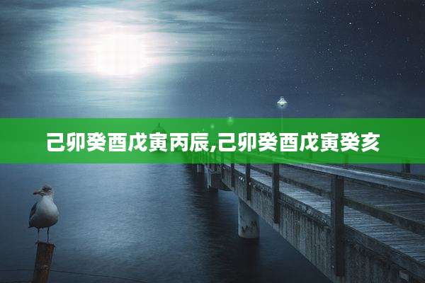 己卯癸酉戊寅丙辰,己卯癸酉戊寅癸亥