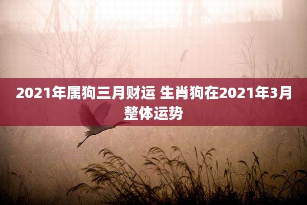 2021年属狗三月财运 生肖狗在2021年3月整体运势