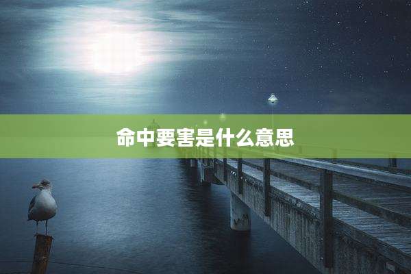 命中要害是什么意思