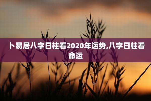 卜易居八字日柱看2020年运势,八字日柱看命运