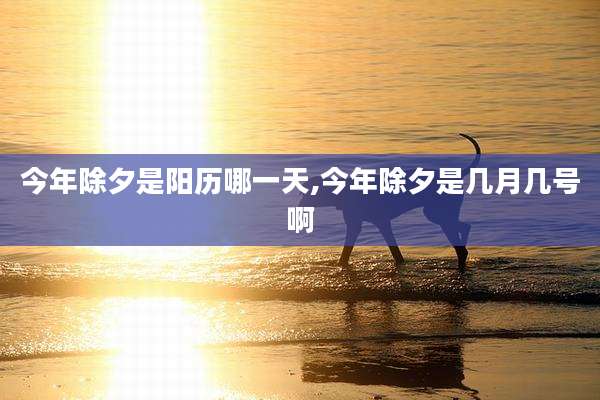 今年除夕是阳历哪一天,今年除夕是几月几号啊