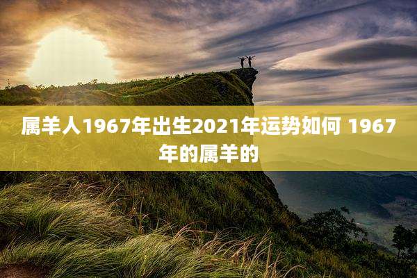 属羊人1967年出生2021年运势如何 1967年的属羊的