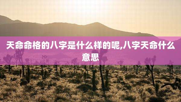 天命命格的八字是什么样的呢,八字天命什么意思