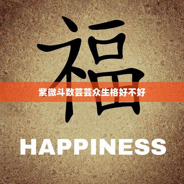 紫微斗数芸芸众生格好不好