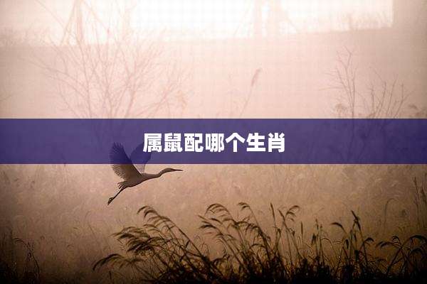 属鼠配哪个生肖