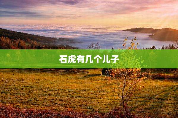石虎有几个儿子