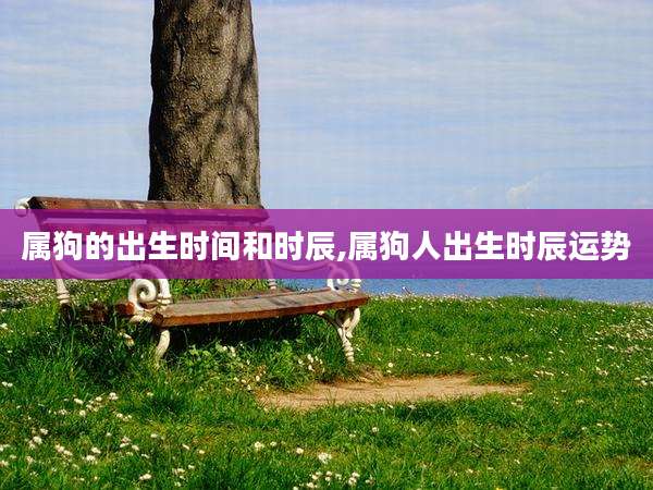 属狗的出生时间和时辰,属狗人出生时辰运势