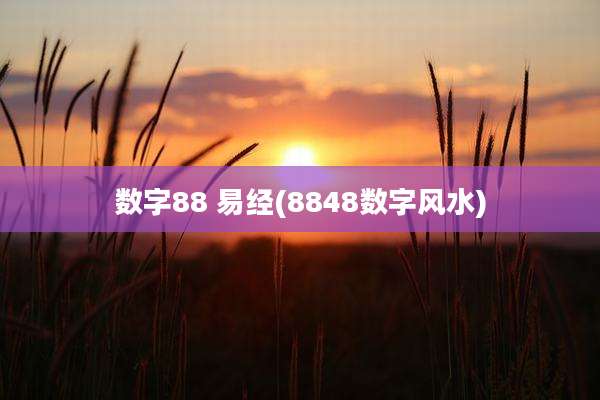数字88 易经(8848数字风水)