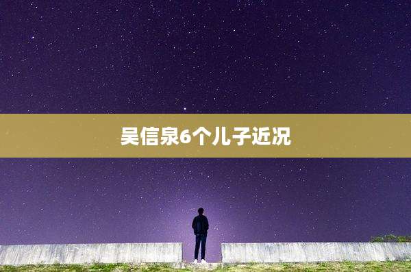 吴信泉6个儿子近况