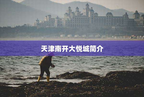 天津南开大悦城简介