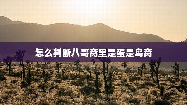 怎么判断八哥窝里是蛋是鸟窝