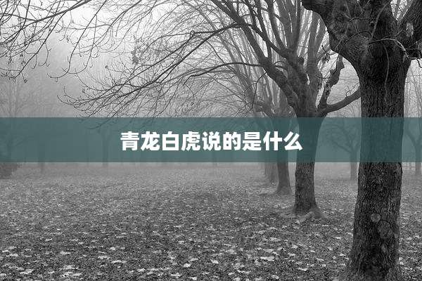 青龙白虎说的是什么