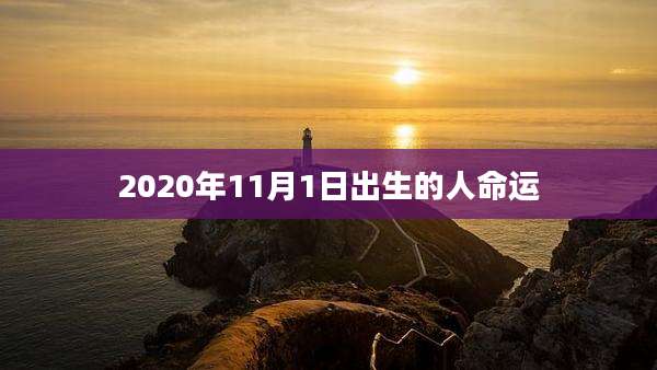 2020年11月1日出生的人命运