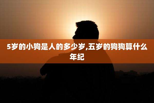 5岁的小狗是人的多少岁,五岁的狗狗算什么年纪