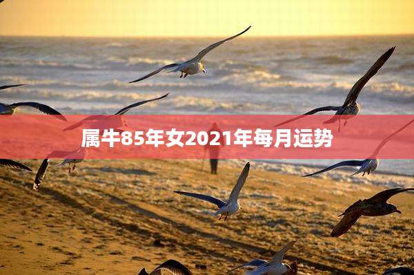 属牛85年女2021年每月运势