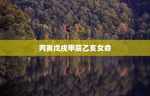 丙寅戊戌甲辰乙亥女命