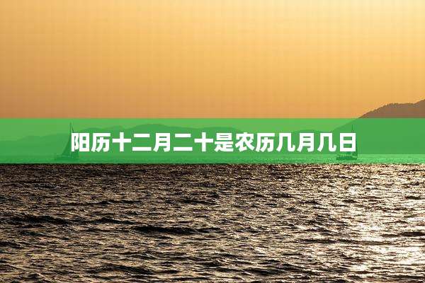 阳历十二月二十是农历几月几日