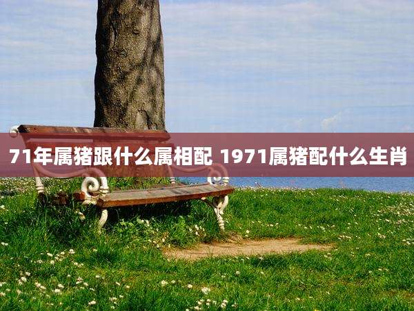 71年属猪跟什么属相配 1971属猪配什么生肖