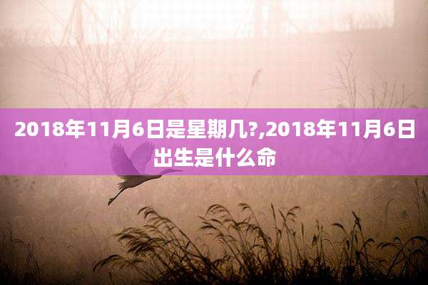 2018年11月6日是星期几?,2018年11月6日出生是什么命