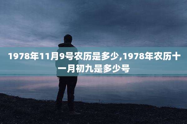 1978年11月9号农历是多少,1978年农历十一月初九是多少号