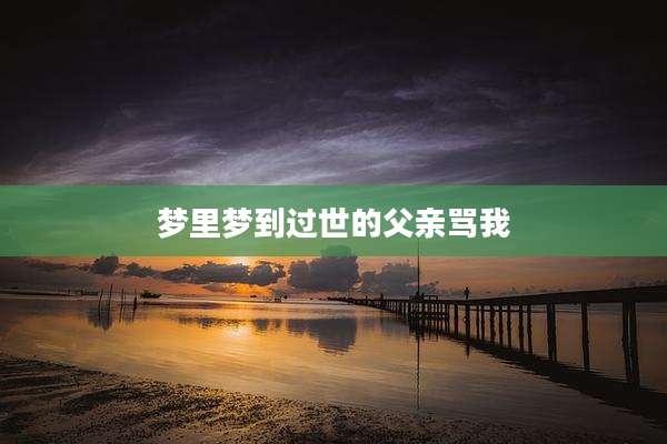 梦里梦到过世的父亲骂我