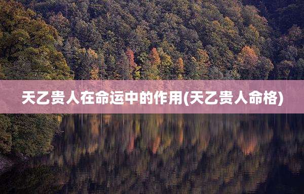 天乙贵人在命运中的作用(天乙贵人命格)