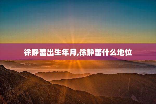 徐静蕾出生年月,徐静蕾什么地位