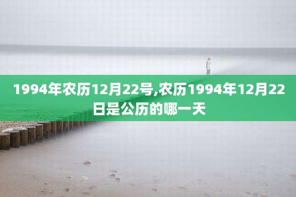 1994年农历12月22号,农历1994年12月22日是公历的哪一天