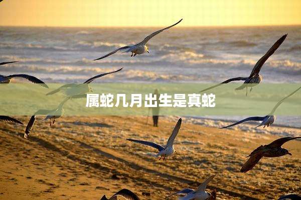 属蛇几月出生是真蛇