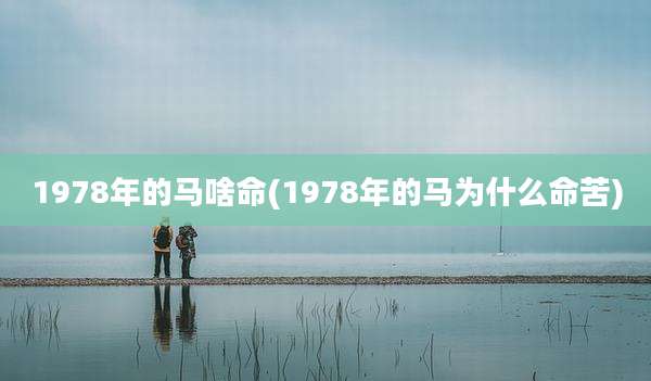 1978年的马啥命(1978年的马为什么命苦)
