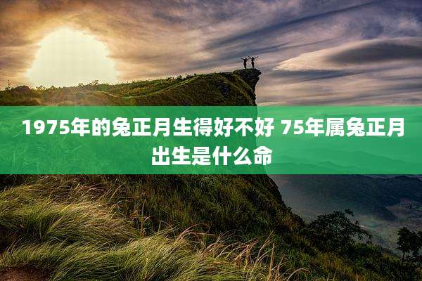 1975年的兔正月生得好不好 75年属兔正月出生是什么命