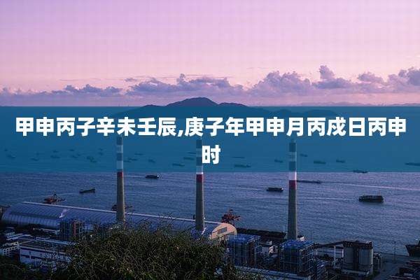 甲申丙子辛未壬辰,庚子年甲申月丙戍日丙申时
