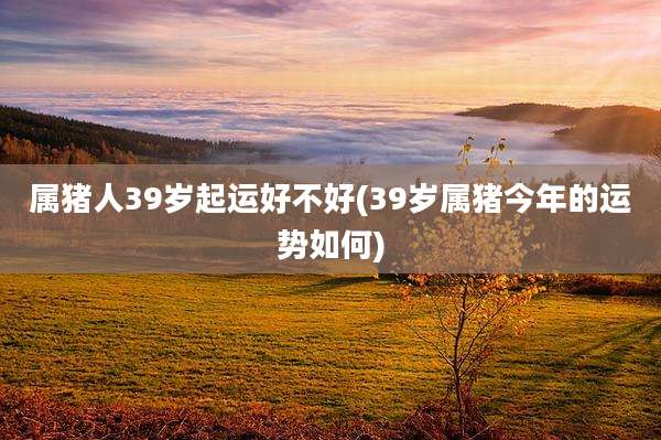 属猪人39岁起运好不好(39岁属猪今年的运势如何)