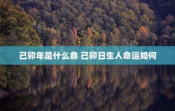 己卯年是什么命 己卯日生人命运如何