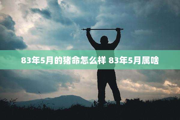83年5月的猪命怎么样 83年5月属啥